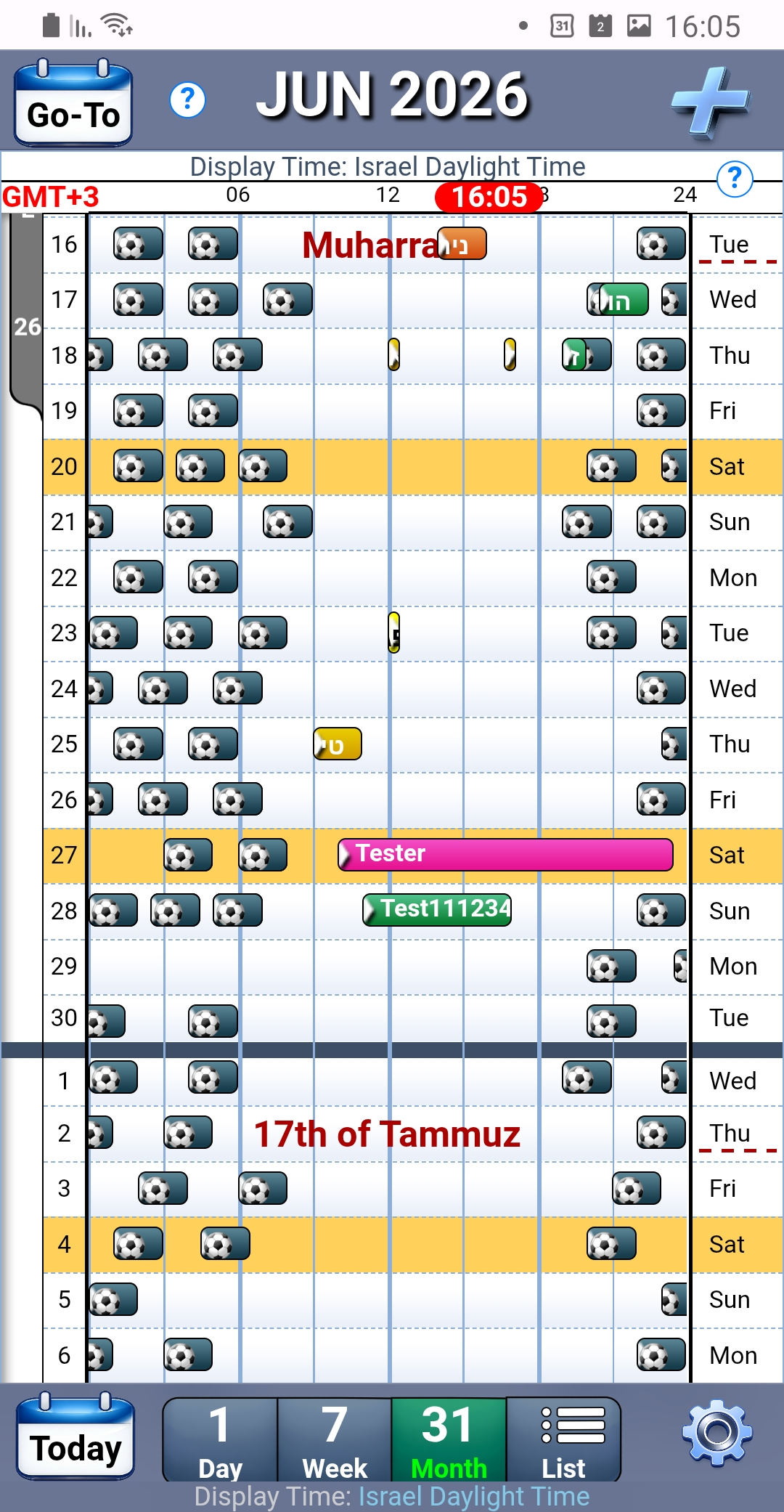 Month View
